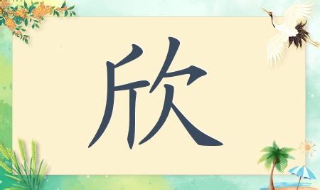 欣的名字|带有欣字的女孩名字